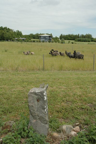 Får der græsser på marken